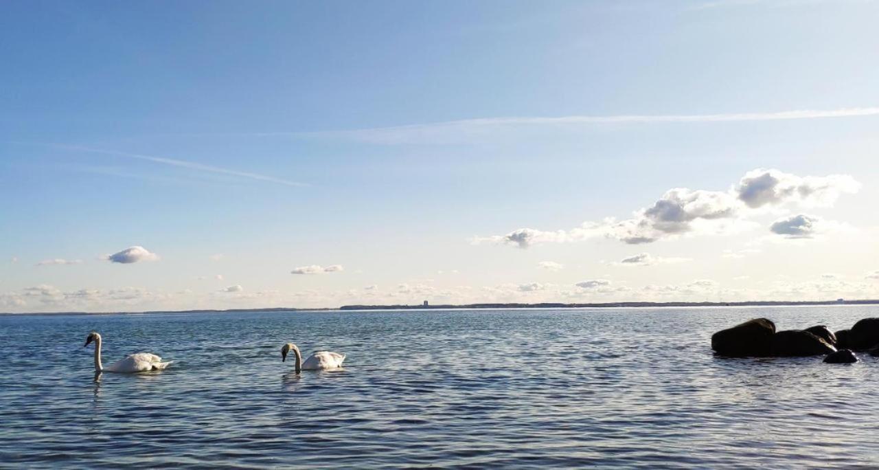 Zum Wohlfuehlen Fuer 4 Erwachsene +1 Kind, Schwimmbad Vor Der Tuer Tiere Erlaubt Sierksdorf Exterior foto