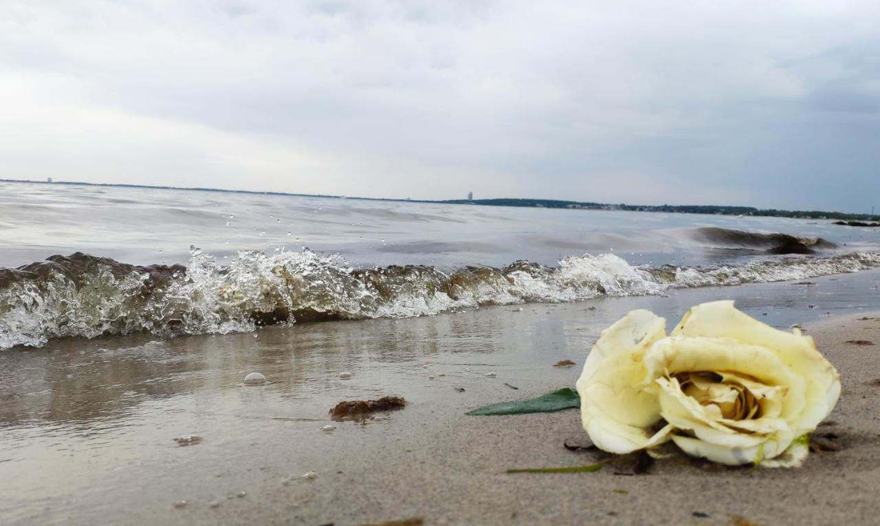 Zum Wohlfuehlen Fuer 4 Erwachsene +1 Kind, Schwimmbad Vor Der Tuer Tiere Erlaubt Sierksdorf Exterior foto