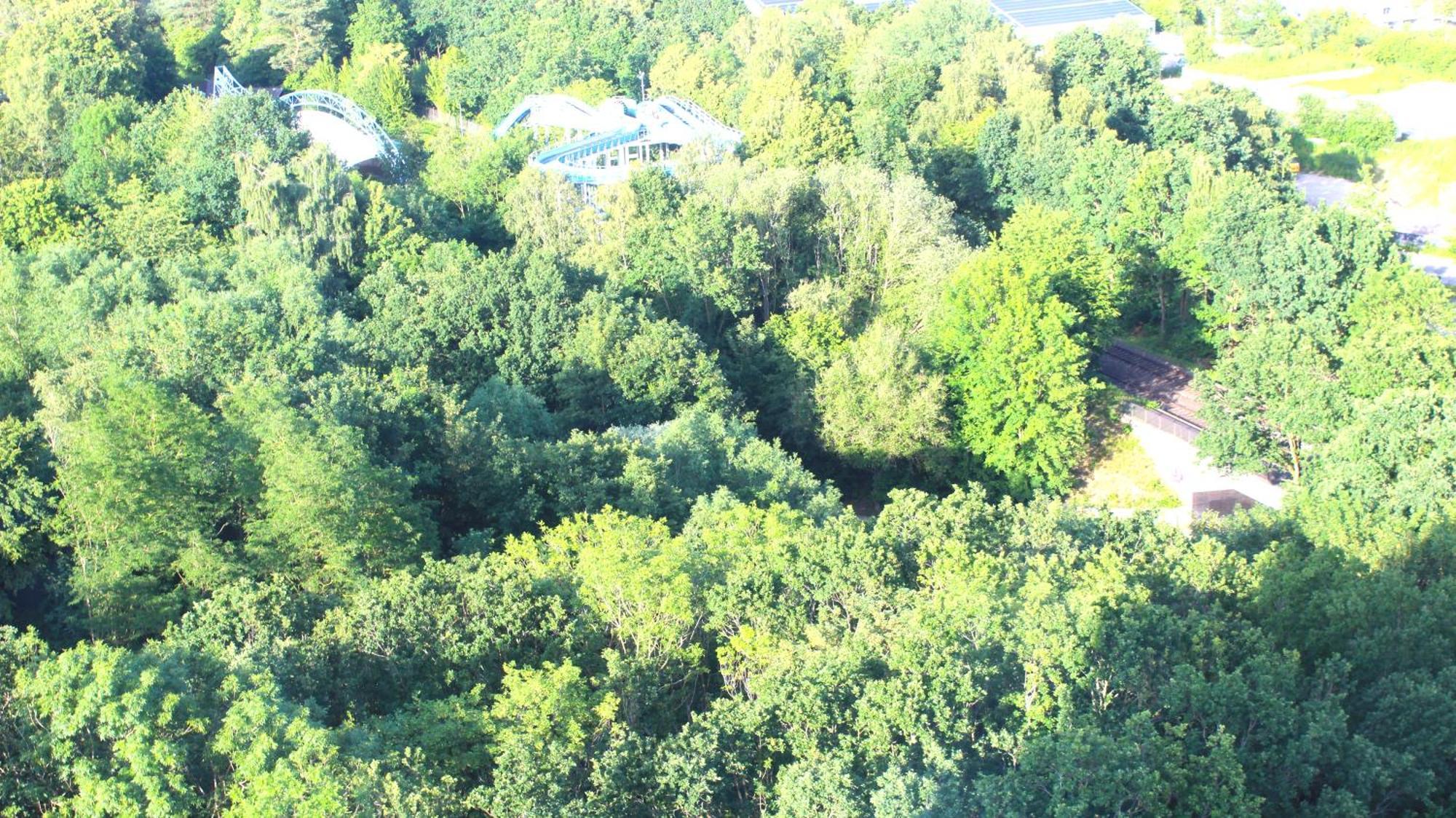 Zum Wohlfuehlen Fuer 4 Erwachsene +1 Kind, Schwimmbad Vor Der Tuer Tiere Erlaubt Sierksdorf Exterior foto